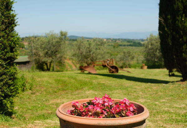 Pozzo Dei Desideri: Взгляды, Открытый, Сад, Экстерьеры