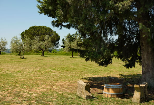 Pozzo Dei Desideri: Открытый, Сад, Экстерьеры