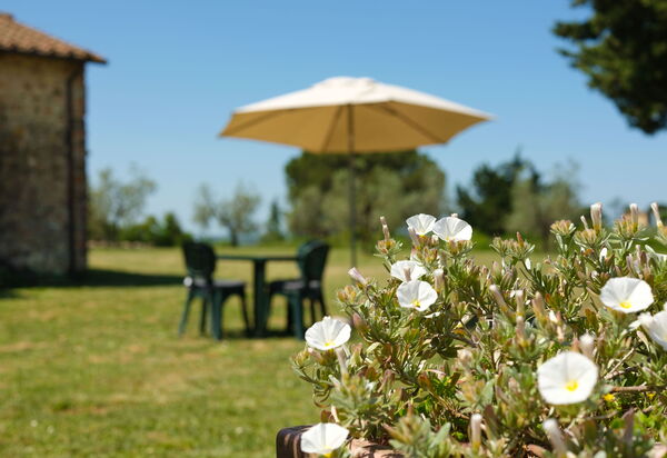 Pozzo Dei Desideri: Открытый, Сад, Экстерьеры