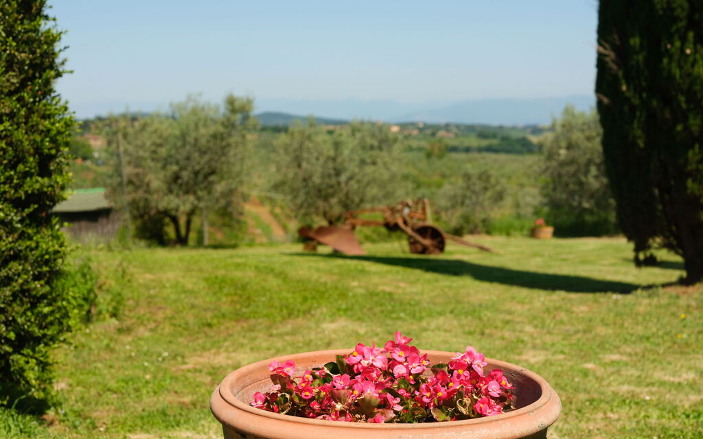 Pozzo Dei Desideri: all'aperto, Esterni, Giardino, Vista Panoramica