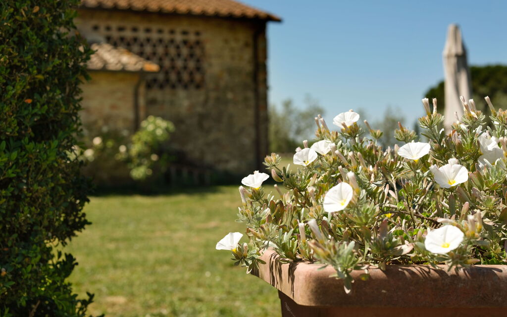 Pozzo Dei Desideri: all'aperto, Esterni, Giardino