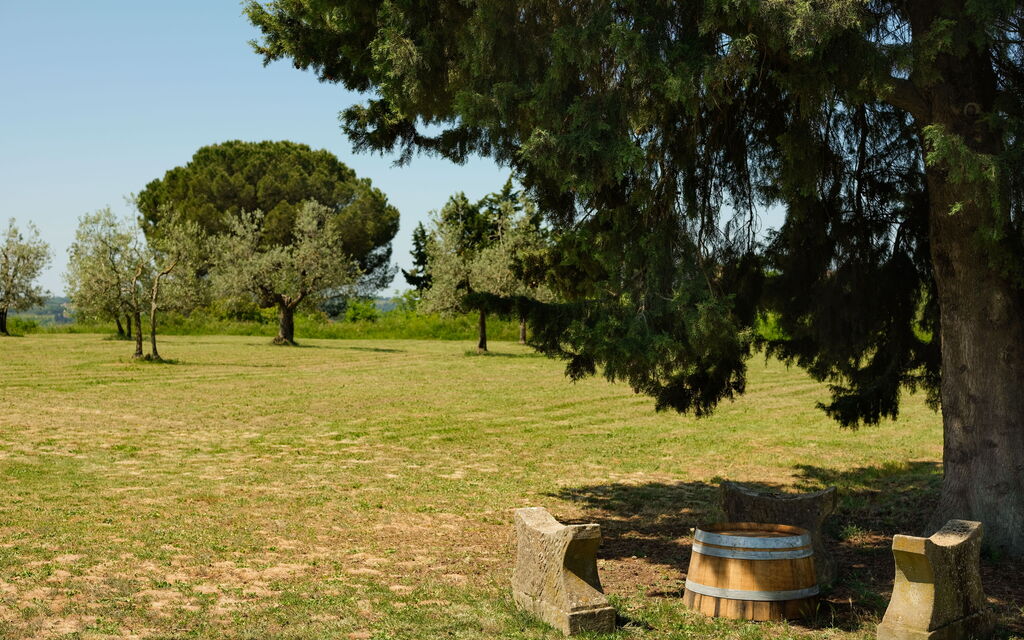 Pozzo Dei Desideri: all'aperto, Esterni, Giardino