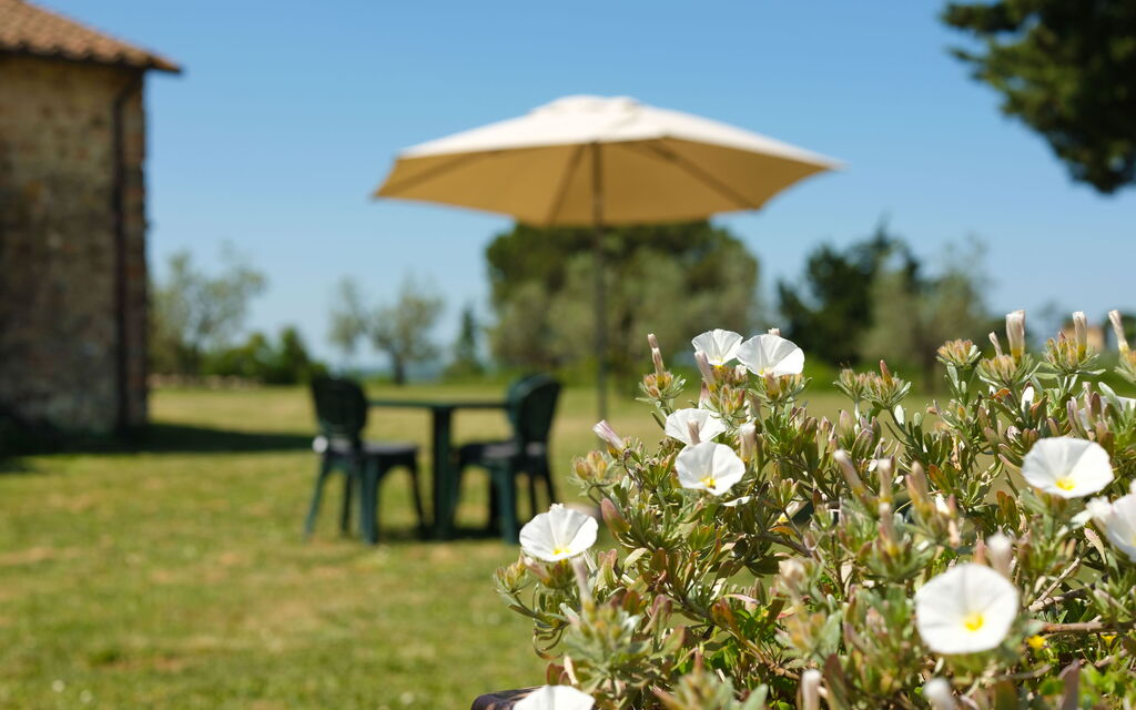 Pozzo Dei Desideri: all'aperto, Esterni, Giardino