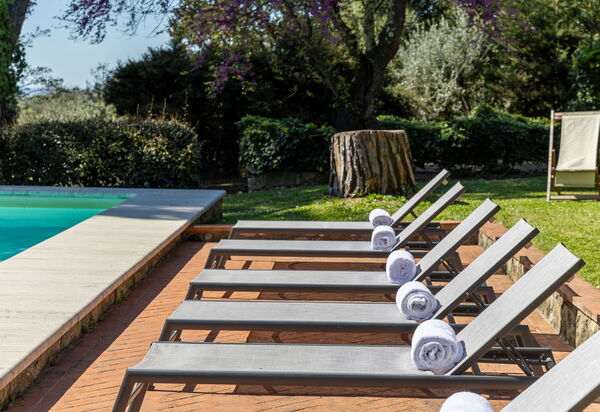 Villa Orchidea: Udendørs