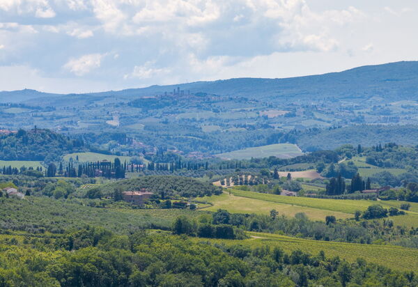 Villa Orchidea: Ansichten