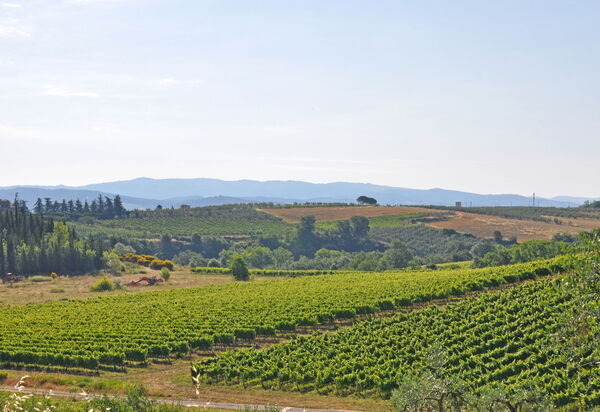 I Glicini: Ansichten