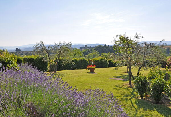 I Glicini: Ansichten