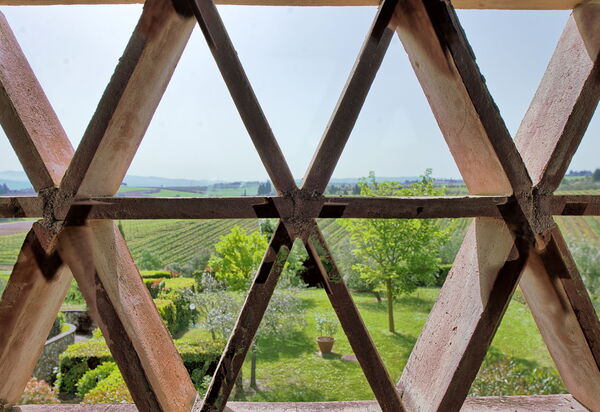 I Glicini: Ansichten