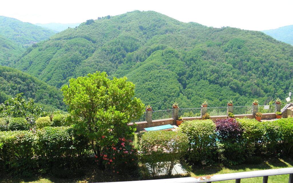 Palazzo D’arcato - 