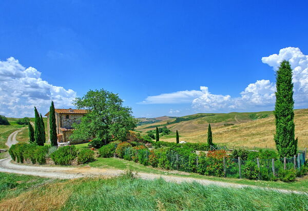 Castelmuzio: Взгляды, Открытый
