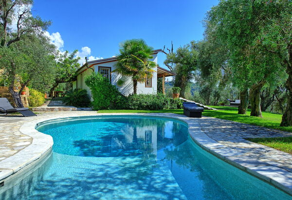 Villa Oliveta: Schwimmbad, Sommer