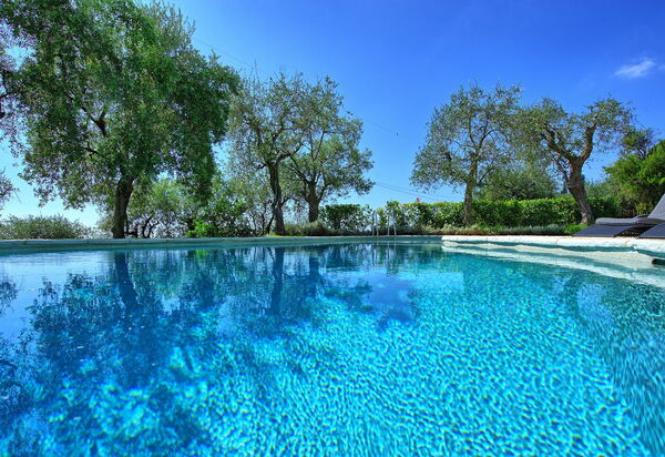 Villa Oliveta: Ansichten, Schwimmbad, Sommer
