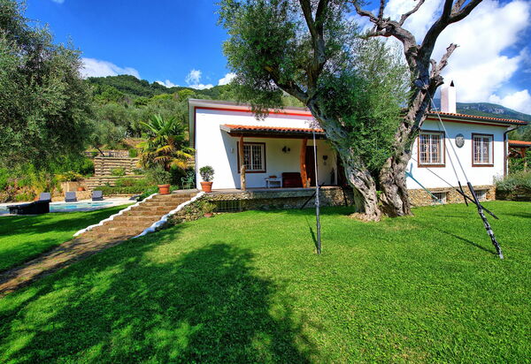 Villa Oliveta: Draussen, Garten