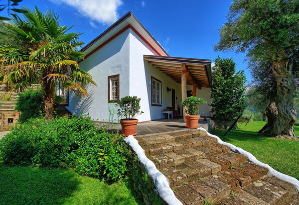 Villa Oliveta: Draussen, Garten