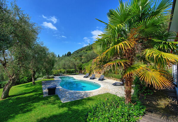 Villa Oliveta: Schwimmbad