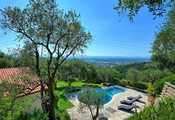 Villa Oliveta: Ansichten, Schwimmbad