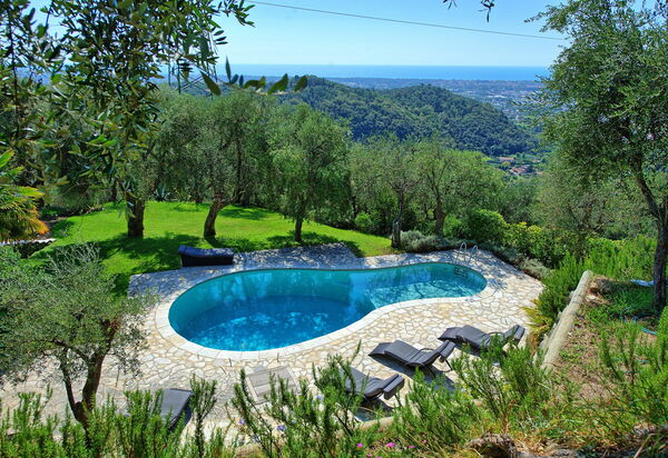 Villa Oliveta: Ansichten, Schwimmbad