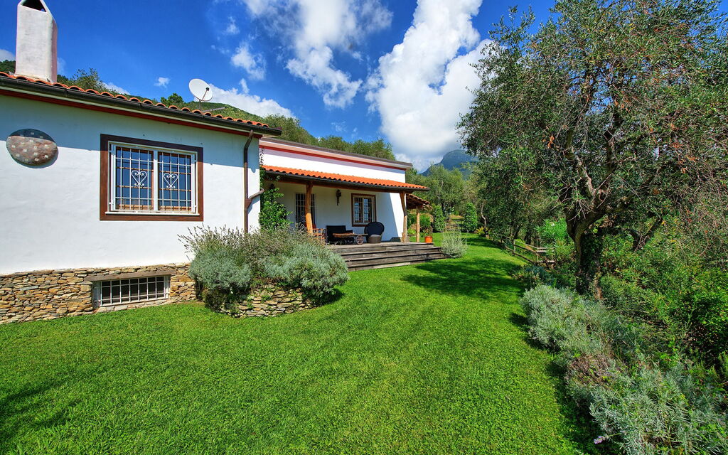 Villa Oliveta: Have, Udendørs