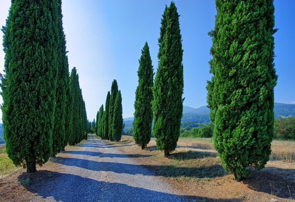 Casale Giulio: Взгляды