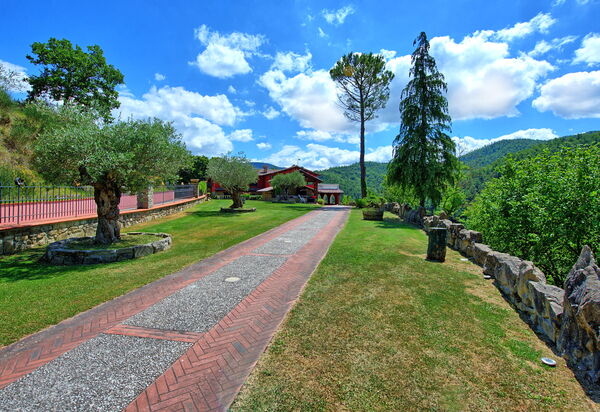 Villa Contessa: Garten