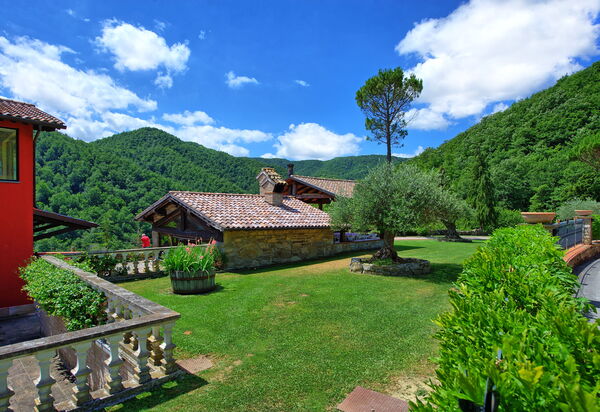 Villa Contessa: Garten