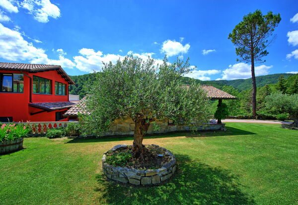 Villa Contessa: Außen, Garten