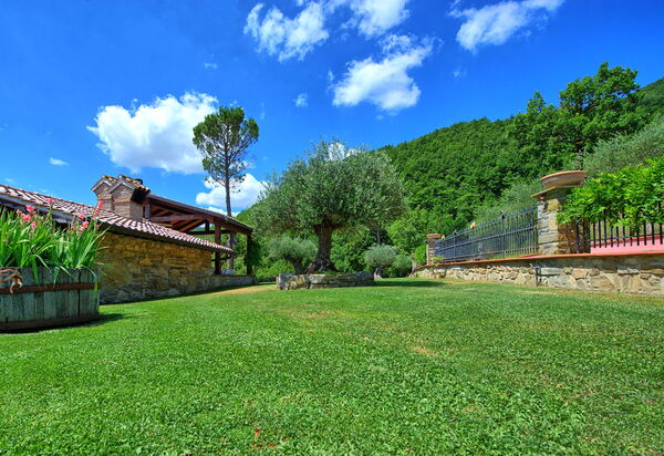 Villa Contessa: Garten