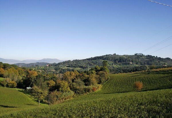 La Selva: Взгляды