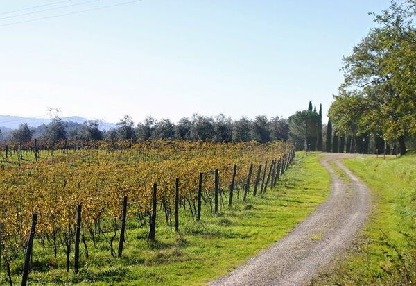 La Selva: Взгляды