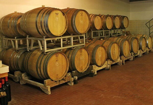 La Selva: Удобства