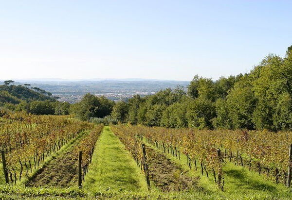 La Selva: Взгляды