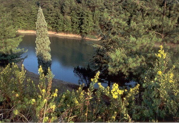 La Selva: Взгляды