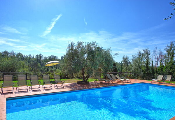 La Selva: бассейн