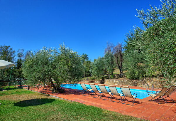 La Selva: бассейн, Сад