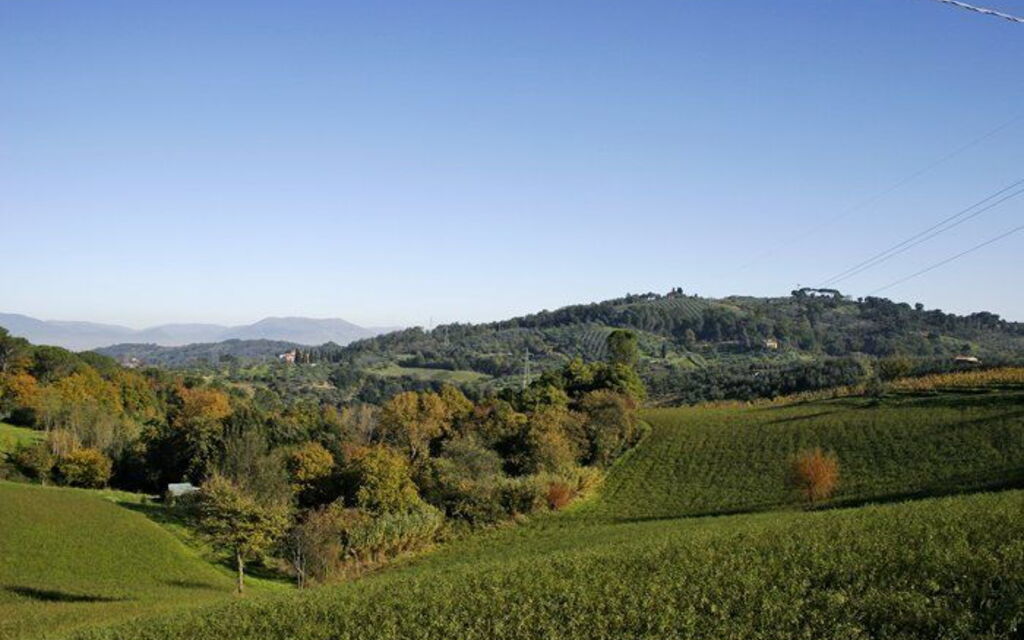 La Selva: Keer bekeken