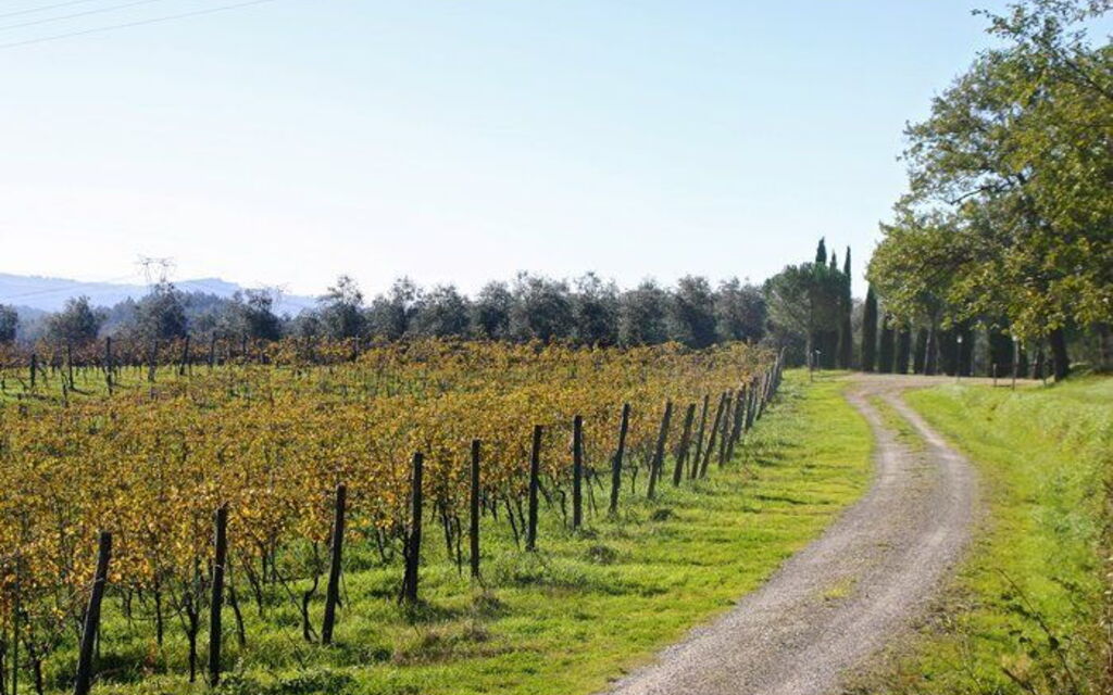 La Selva: Keer bekeken