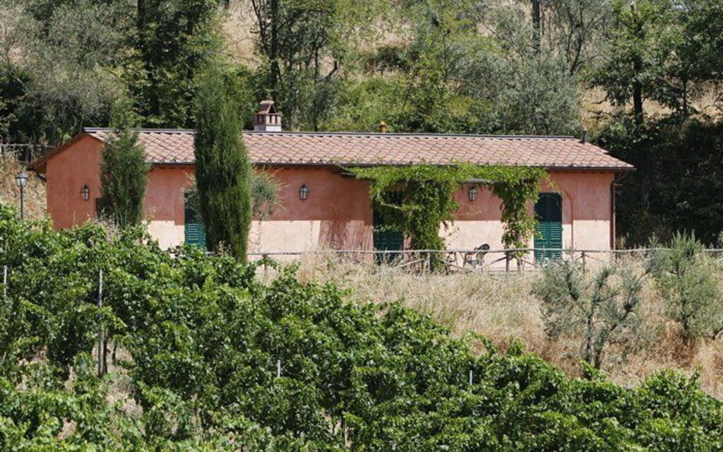 La Selva: Buitenshuis, Tuin