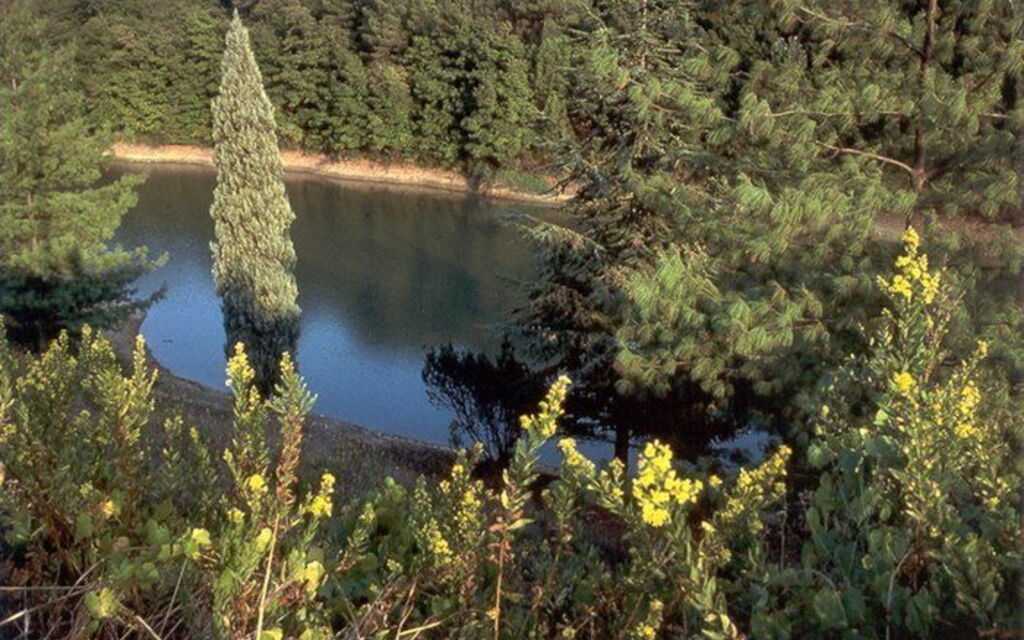 La Selva: Keer bekeken