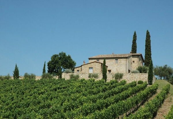 Brunello: Взгляды