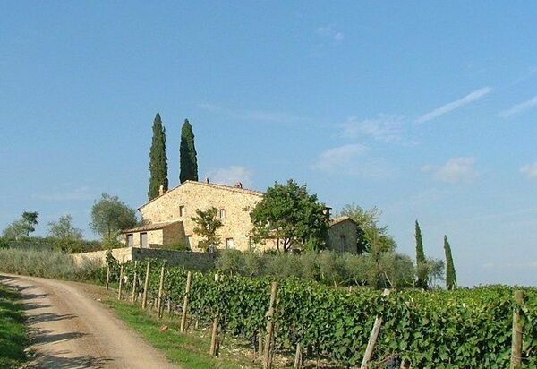 Brunello: Взгляды