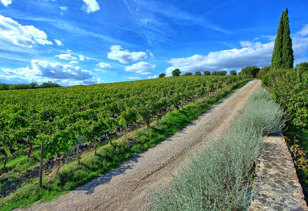 Brunello: Взгляды, Открытый