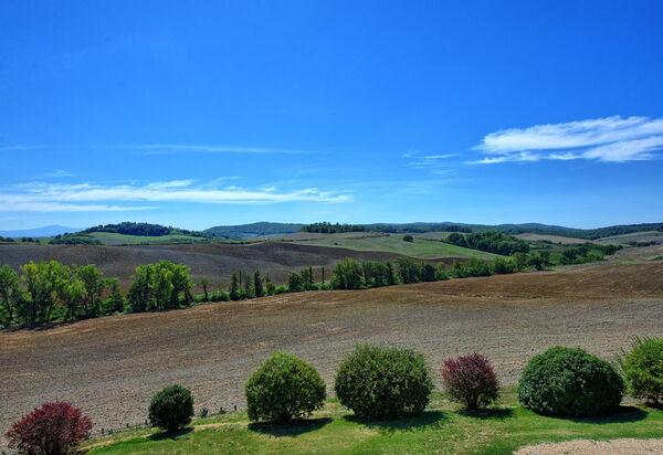 San Donnino: Взгляды, Открытый, Сад