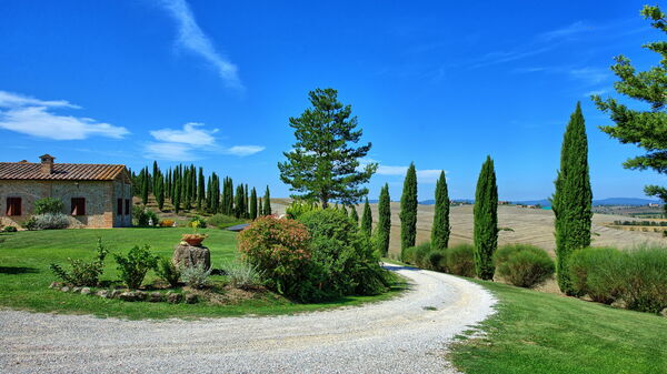 San Donnino: Draussen, Garten