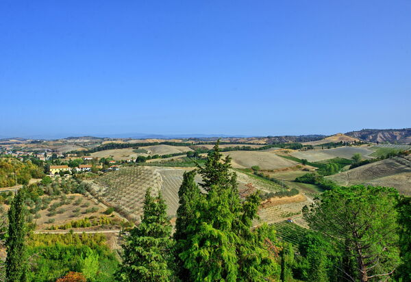 Certaldo: Взгляды