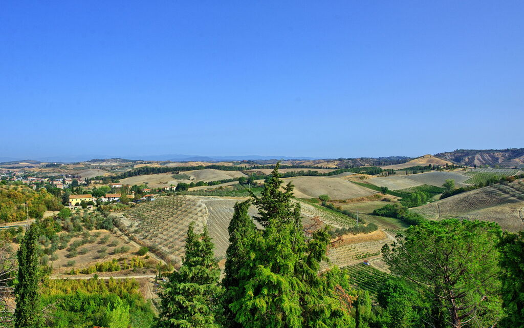 Certaldo: Vista Panoramica