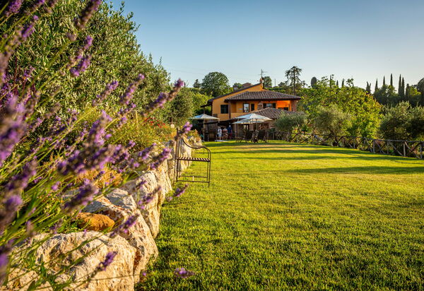 Villa Amadeo: Building Exterior, Garden, Outdoor