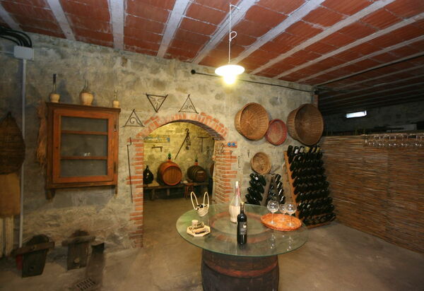 Villa Lo Scoiattolo: Aktivitäten