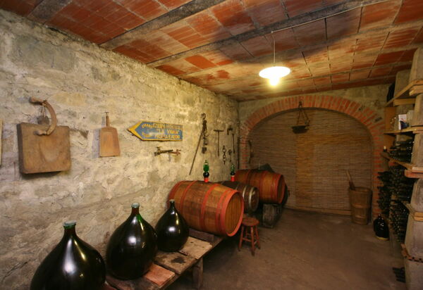 Villa Lo Scoiattolo: Aktivitäten