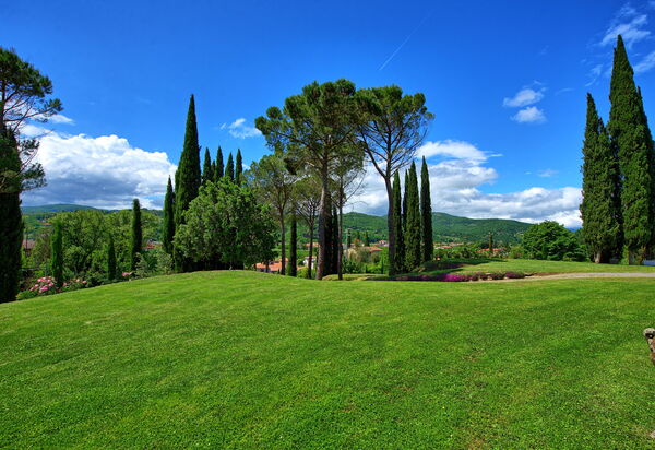 Villa Lo Scoiattolo: Draussen, Garten