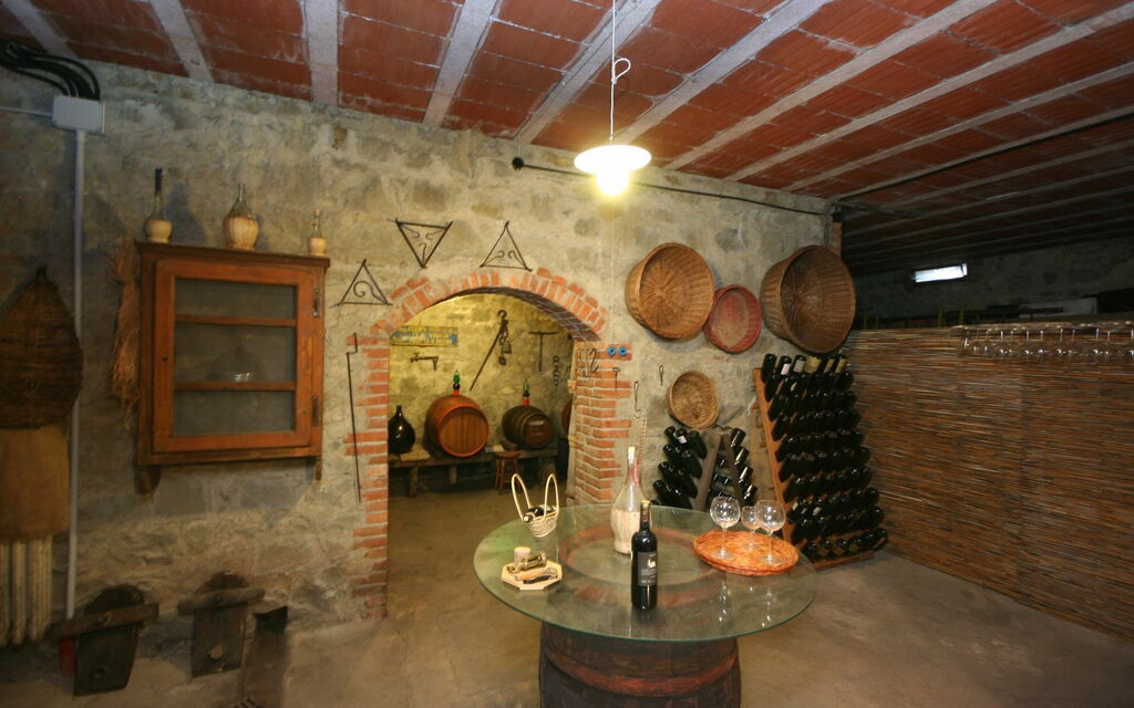 Villa Lo Scoiattolo: Attività